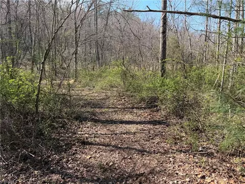 tbd Old Mill Rd, Lowgap, NC 27024 photo 15