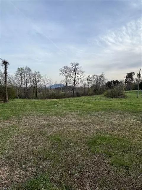 166 Springfield Rd, Pilot Mountain, NC 27041 photo 2