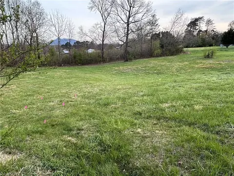 166 Springfield Rd, Pilot Mountain, NC 27041 photo 4
