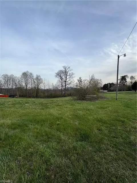 166 Springfield Rd, Pilot Mountain, NC 27041 photo 3