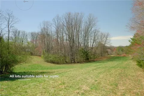 0 Flat Rock Rd, Pinnacle, NC 27043 photo 13