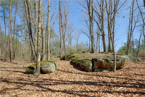 0 Flat Rock Rd, Pinnacle, NC 27043 photo 19