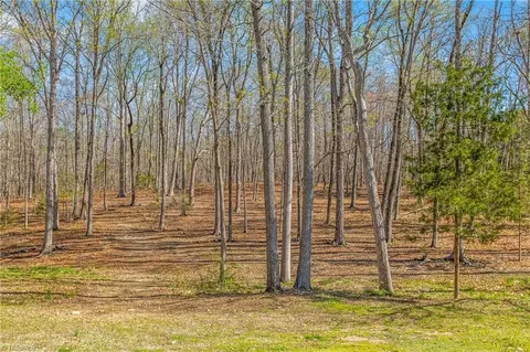 9274 W Us Highway 64, Trinity, NC 27370 photo 37