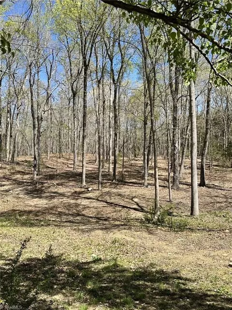 9274 W Us Highway 64, Trinity, NC 27370 photo 38