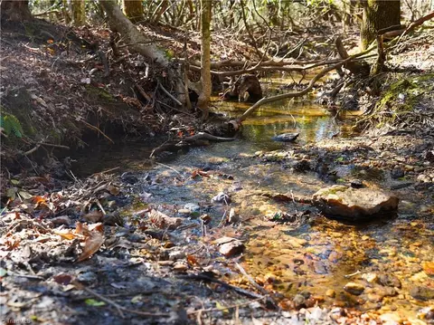 tbd Flagstone Way, Lowgap, NC 27024