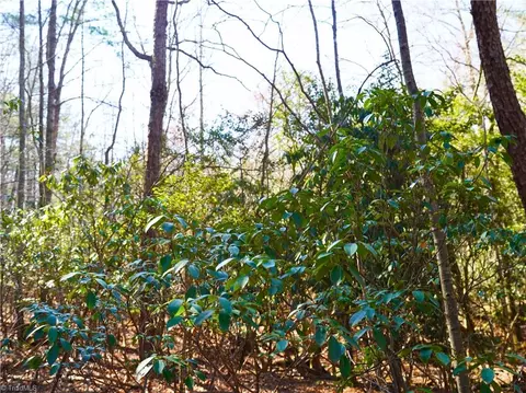tbd Flagstone Way, Lowgap, NC 27024 photo 6