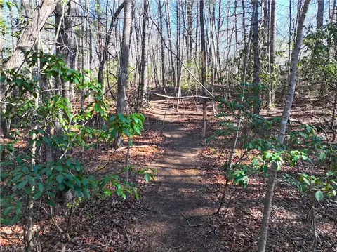 tbd Flagstone Way, Lowgap, NC 27024 photo 8