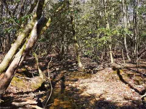 tbd Flagstone Way, Lowgap, NC 27024 photo 12