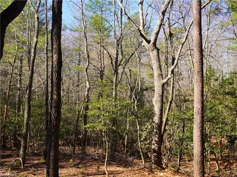 tbd Flagstone Way, Lowgap, NC 27024 photo 33