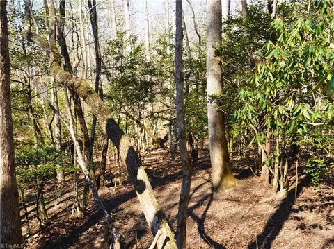 tbd Flagstone Way, Lowgap, NC 27024 photo 14