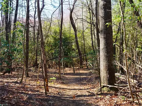 tbd Flagstone Way, Lowgap, NC 27024 photo 3