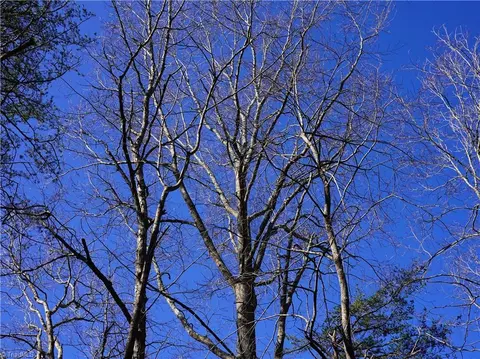 tbd Flagstone Way, Lowgap, NC 27024 photo 20
