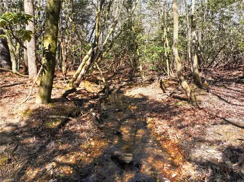 tbd Flagstone Way, Lowgap, NC 27024 photo 5