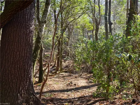 tbd Flagstone Way, Lowgap, NC 27024 photo 26