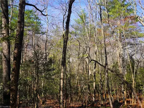 tbd Flagstone Way, Lowgap, NC 27024 photo 30