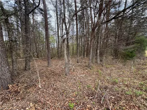 0 Brims Grove Rd, Pinnacle, NC 27043 photo 7