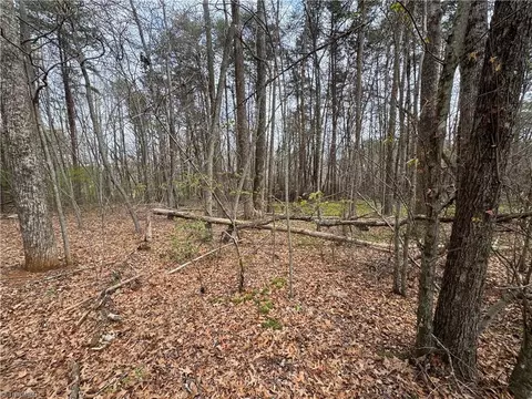 0 Brims Grove Rd, Pinnacle, NC 27043 photo 2