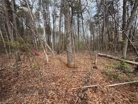 0 Brims Grove Rd, Pinnacle, NC 27043 photo 3
