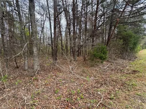 0 Brims Grove Rd, Pinnacle, NC 27043 photo 5