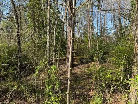 0 0 2nd St # -0, Walnut Cove, NC 27052 photo 5