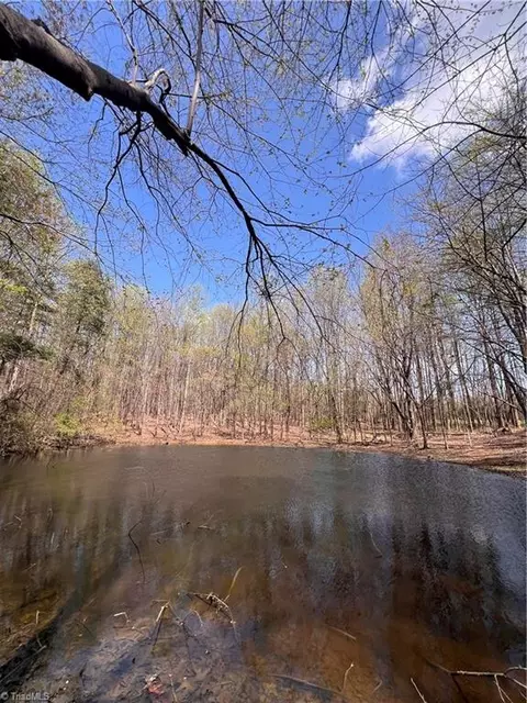 tbd Caves Mill Rd, Dobson, NC 27017 photo 6