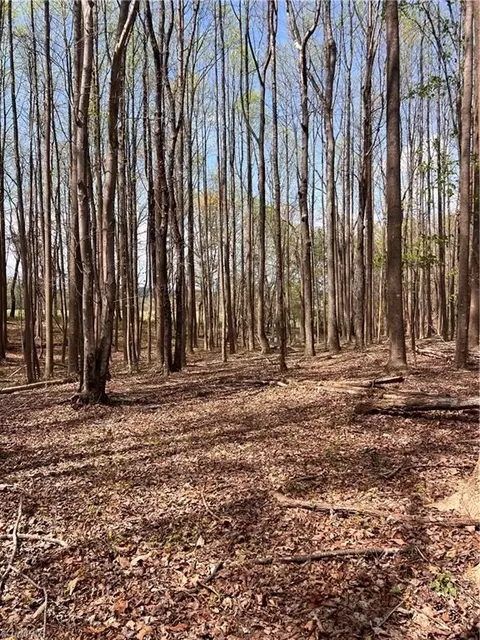 tbd Caves Mill Rd, Dobson, NC 27017 photo 3