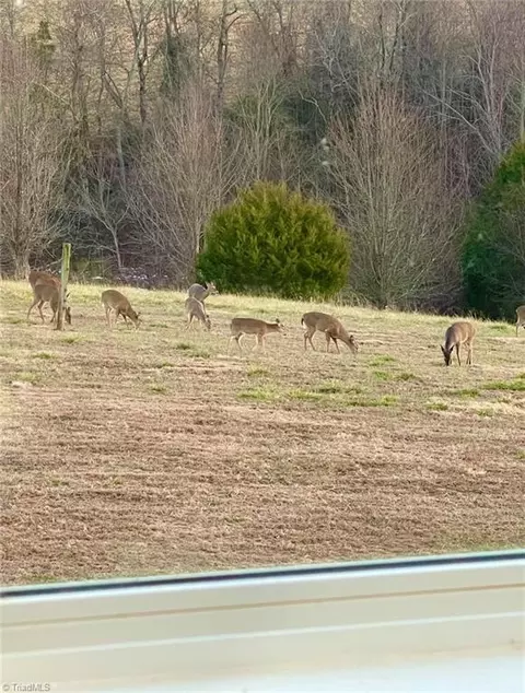 Other - 322 Layell Rd, Elkin, NC 28621 photo 14 of 17
