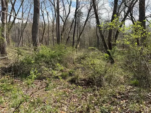 tbd Cobblestone Ln, Ferguson, NC 28624 photo 5