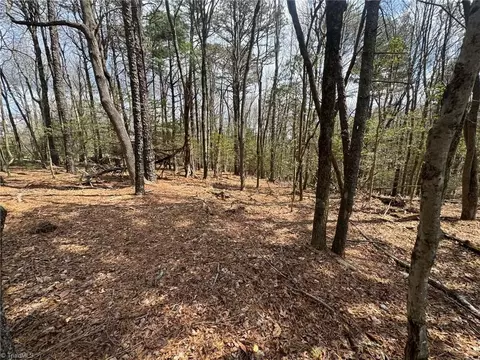 tbd Ward Circle Dr, Sparta, NC 28675 photo 6