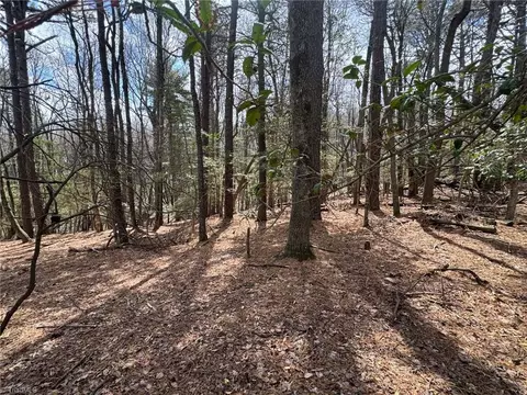 tbd Ward Circle Dr, Sparta, NC 28675 photo 8