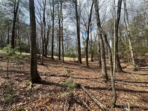 tbd Ward Circle Dr, Sparta, NC 28675 photo 15