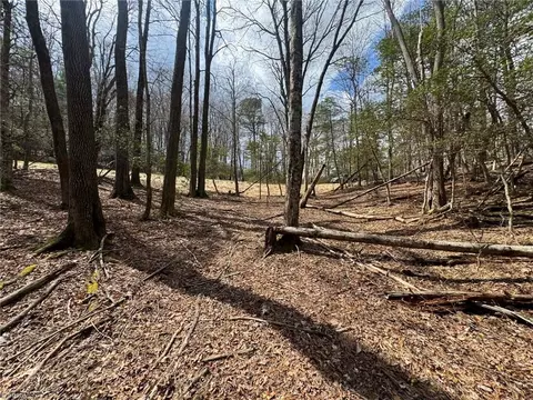 tbd Ward Circle Dr, Sparta, NC 28675 photo 16