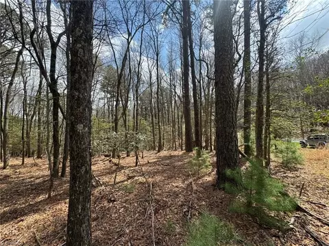 tbd Ward Circle Dr, Sparta, NC 28675 photo 5