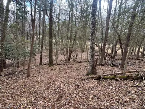tbd Ward Circle Dr, Sparta, NC 28675 photo 11