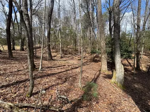 tbd Ward Circle Dr, Sparta, NC 28675 photo 14