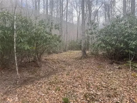 tbd 2 Three Top Rd, Todd, NC 28684 photo 17