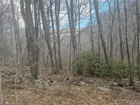 tbd 2 Three Top Rd, Todd, NC 28684 photo 5