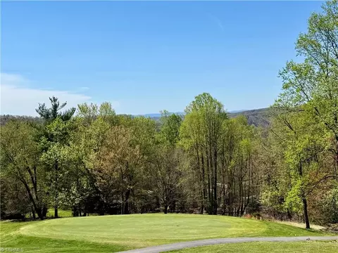 Other - 217 Fairview Dr, Traphill, NC 28685 photo 6 of 18