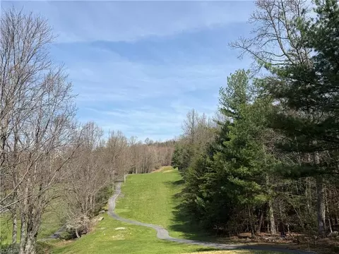 Other - 217 Fairview Dr, Traphill, NC 28685 photo 18 of 18