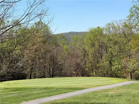 Other - 217 Fairview Dr, Traphill, NC 28685 photo 17 of 18
