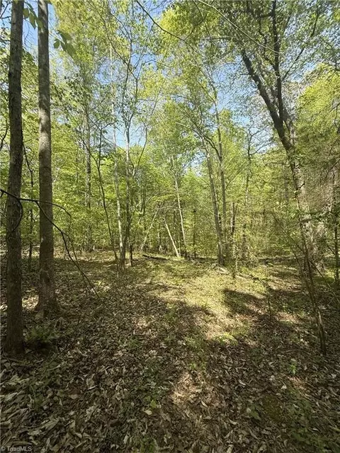 0 Cashatt Rd, Trinity, NC 27370 photo 10