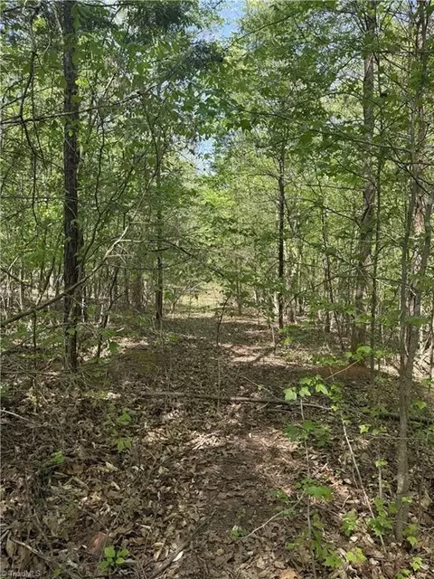 0 Cashatt Rd, Trinity, NC 27370 photo 11