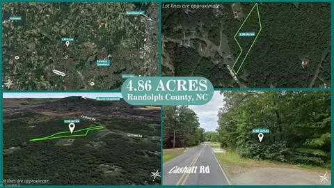 0 Cashatt Rd, Trinity, NC 27370 photo 9