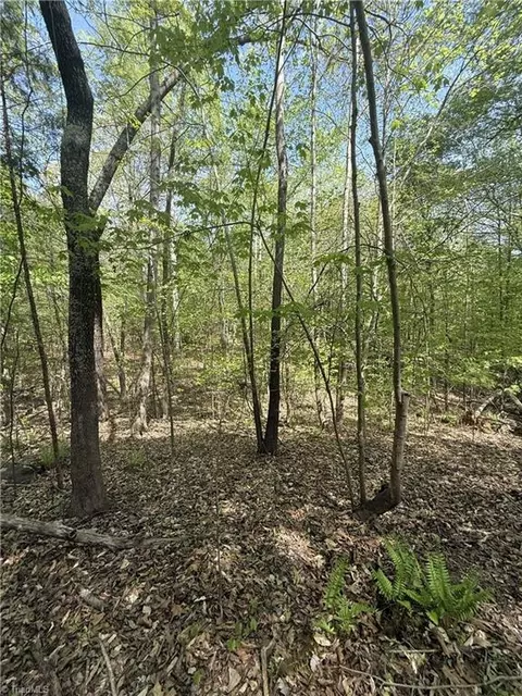 0 Cashatt Rd, Trinity, NC 27370 photo 13
