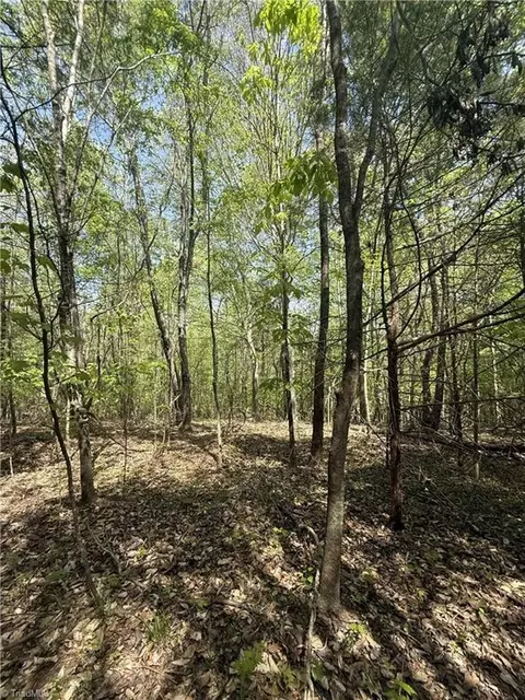 0 Cashatt Rd, Trinity, NC 27370 photo 14