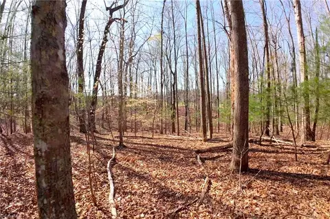 1019-12 George Rd, Westfield, NC 27053 photo 11