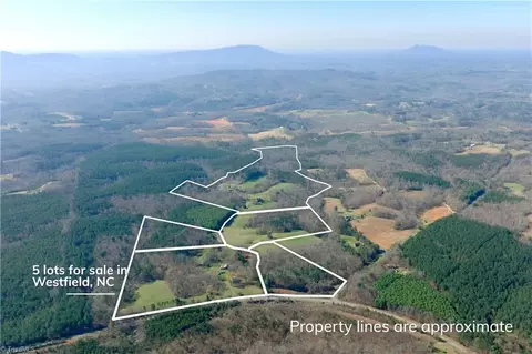 1019-12 George Rd, Westfield, NC 27053 photo 16