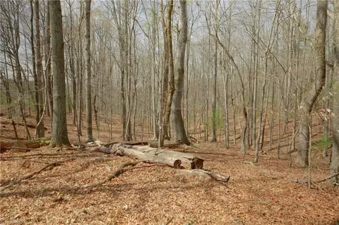 1019-12 George Rd, Westfield, NC 27053 photo 8