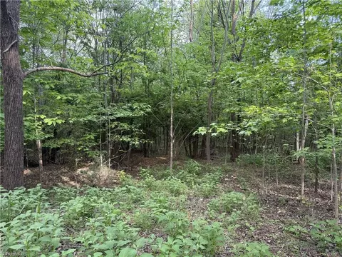 2690 Old Mountain Rd, Trinity, NC 27370 photo 9