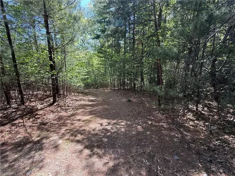 lot S 51 52a Staghorn Rd, Purlear, NC 28665 photo 22